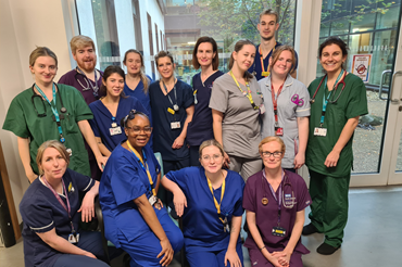 Group photo of the blood borne virus testing team